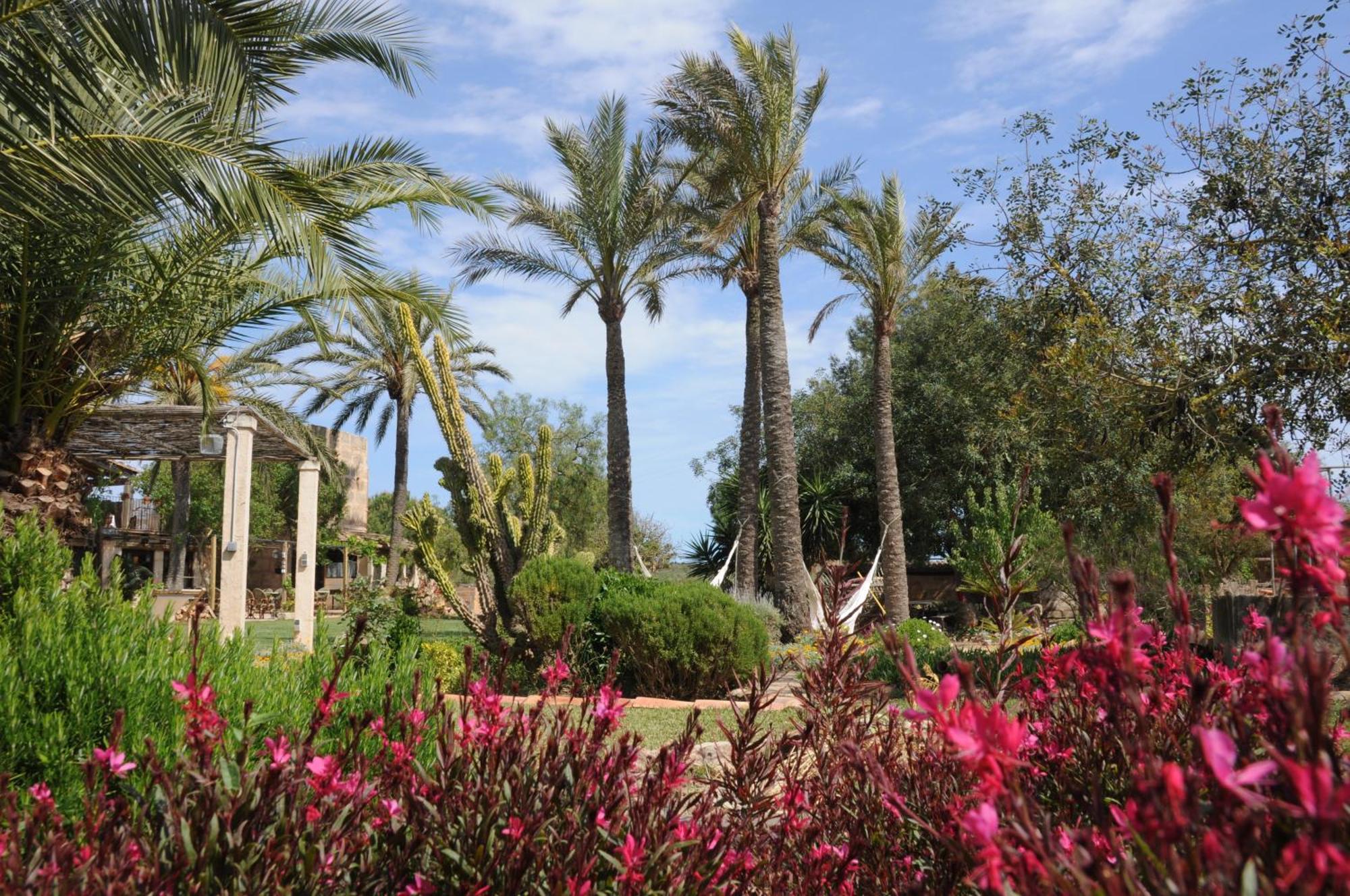 Agroturismo Finca Sant Blai Campos  Esterno foto