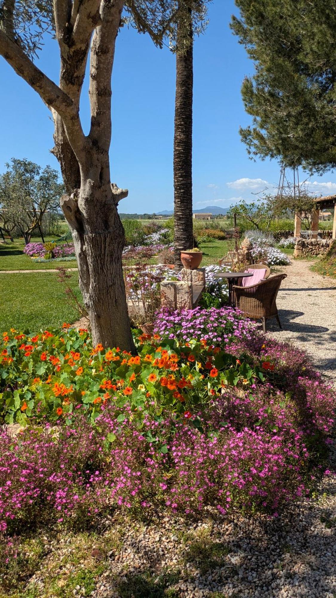 Agroturismo Finca Sant Blai Campos  Esterno foto