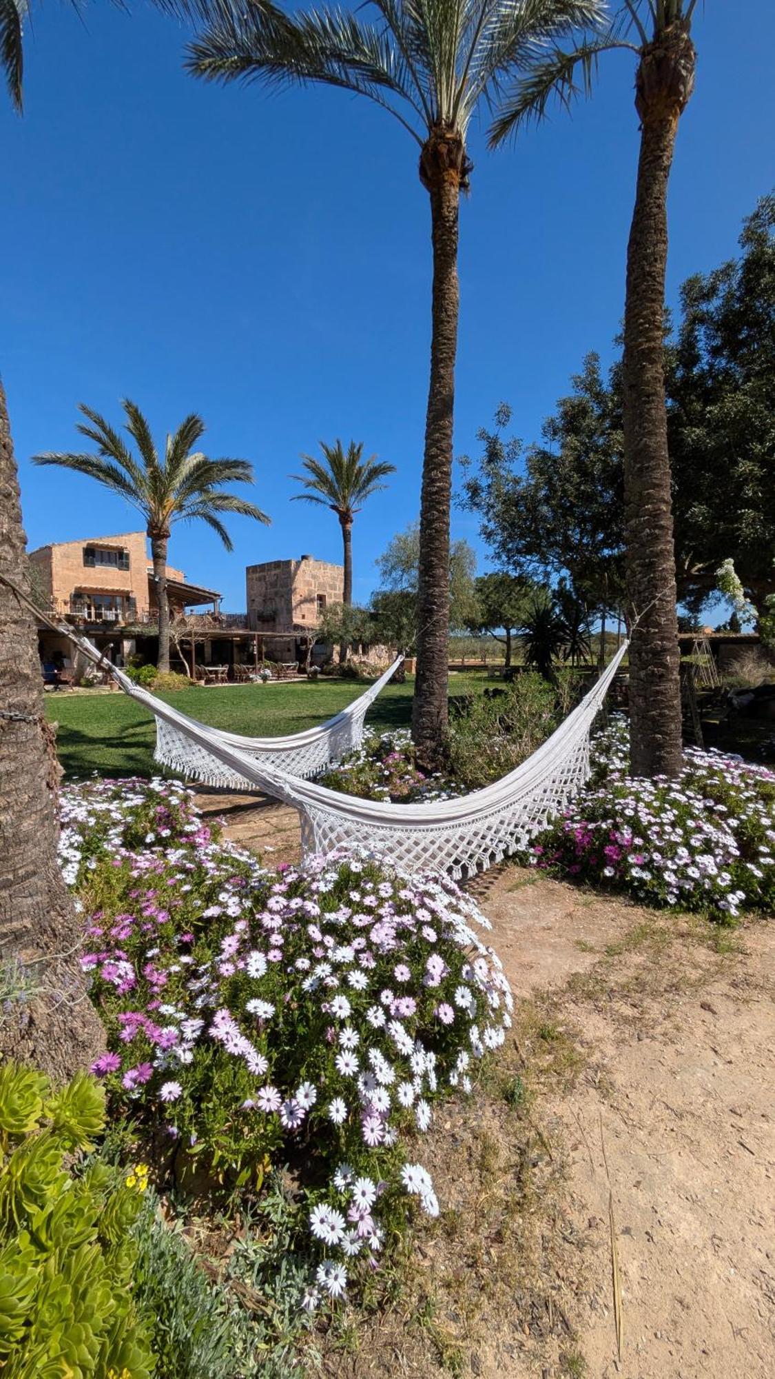 Agroturismo Finca Sant Blai Campos  Esterno foto