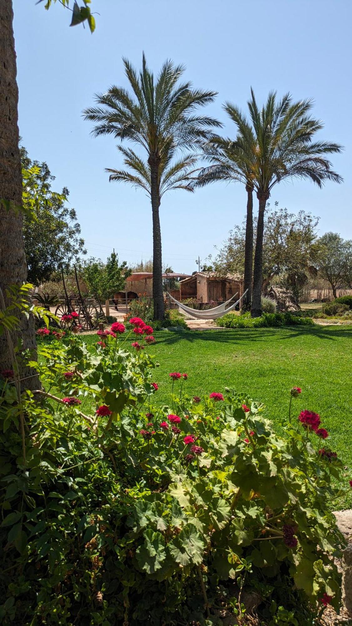 Agroturismo Finca Sant Blai Campos  Esterno foto