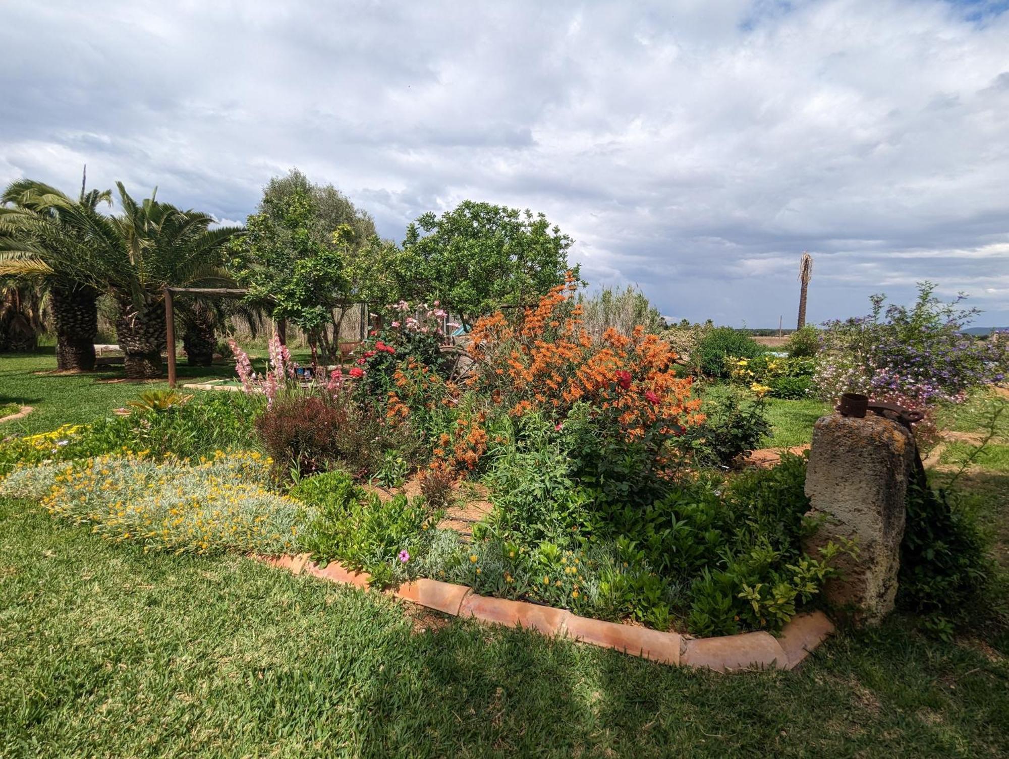 Agroturismo Finca Sant Blai Campos  Esterno foto