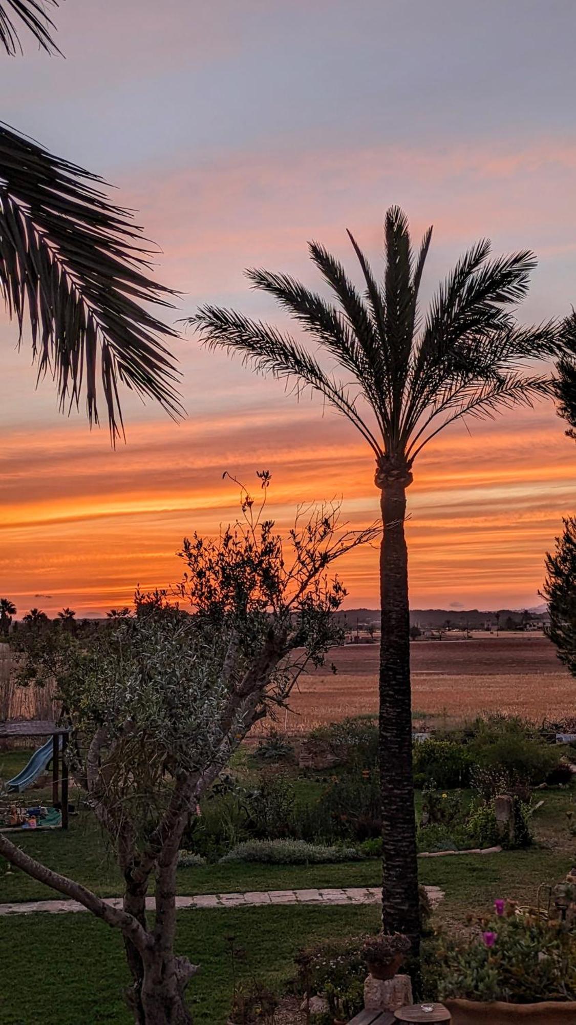 Agroturismo Finca Sant Blai Campos  Esterno foto