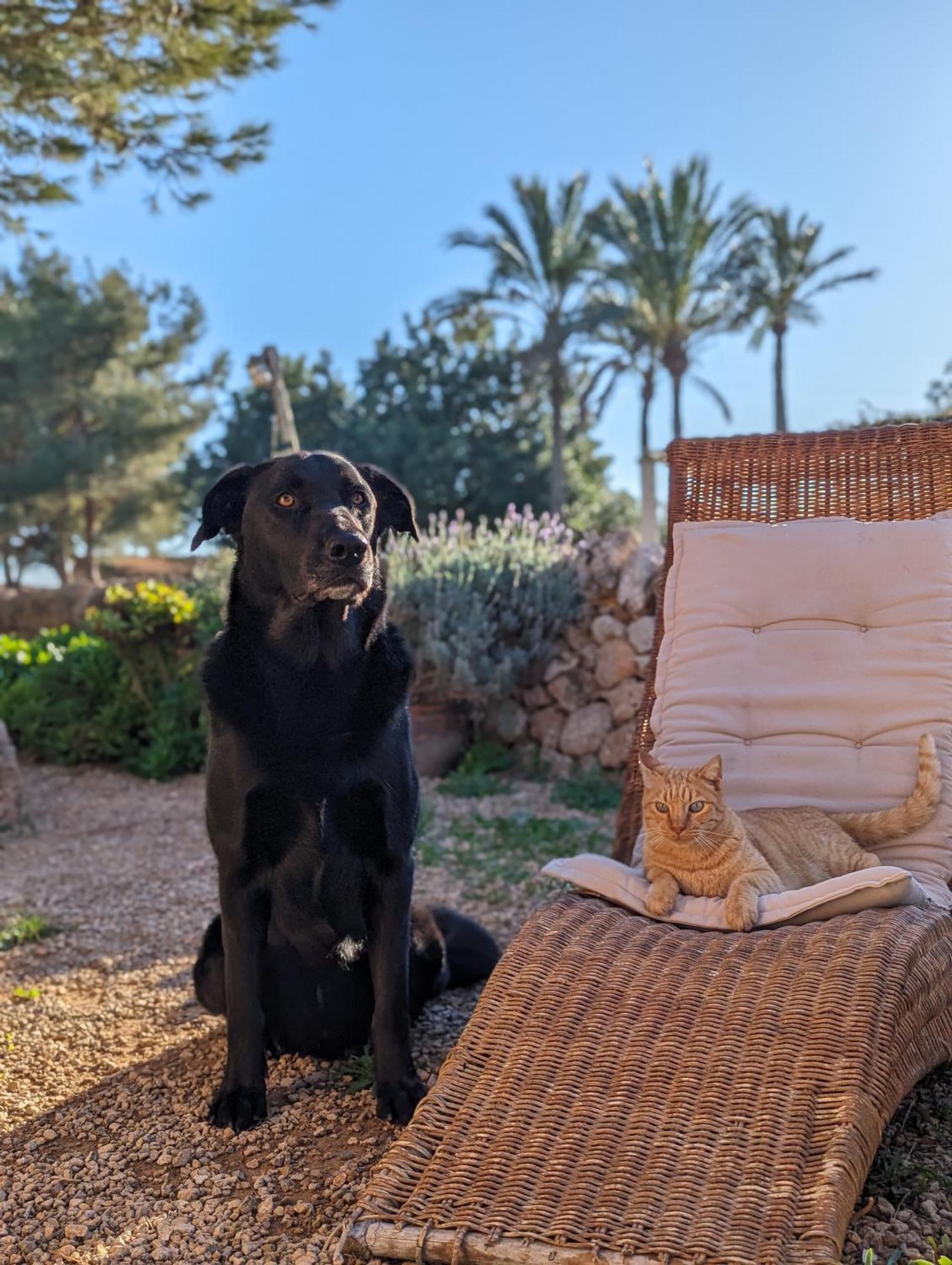Agroturismo Finca Sant Blai Campos  Esterno foto