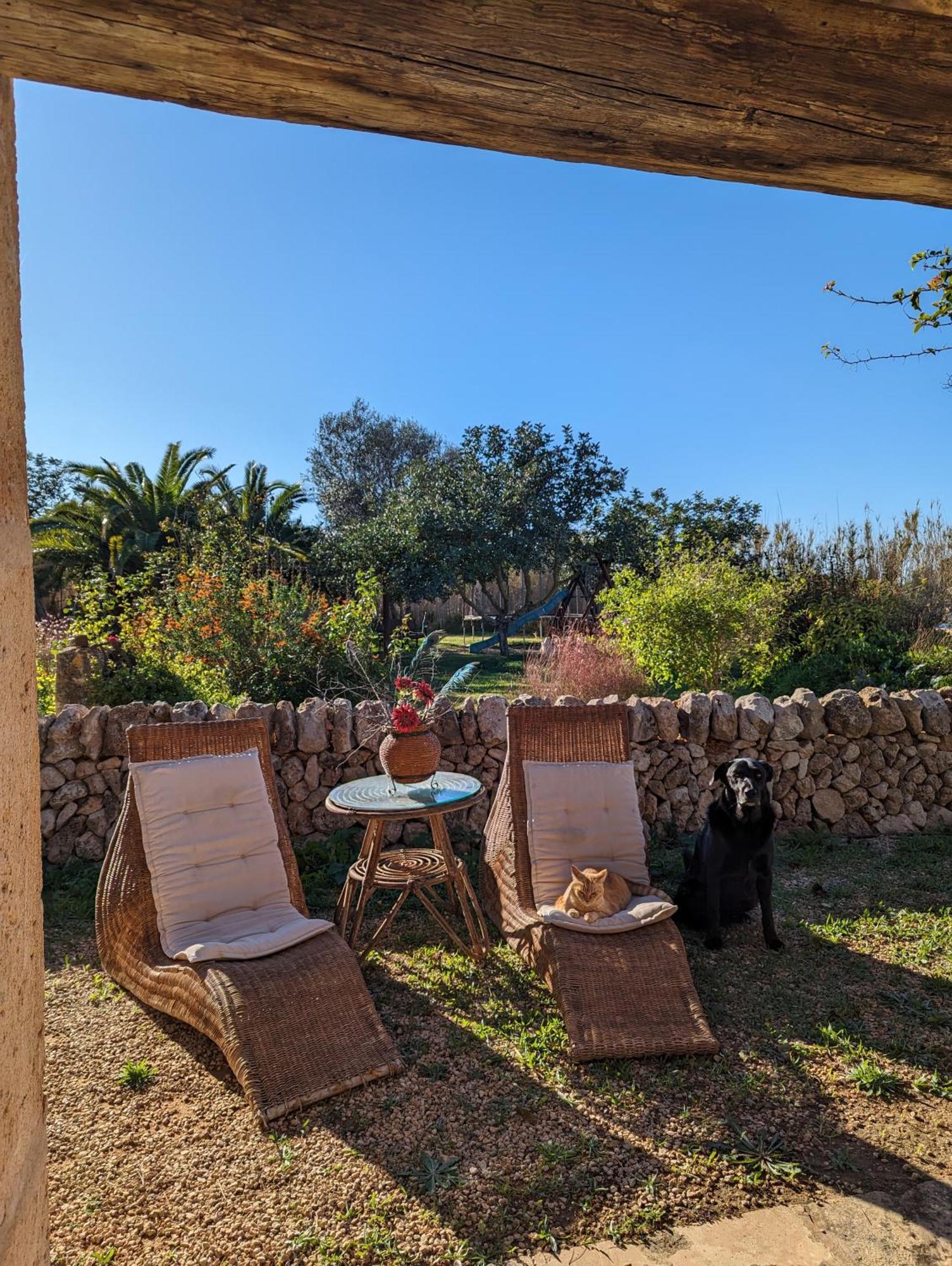 Agroturismo Finca Sant Blai Campos  Esterno foto